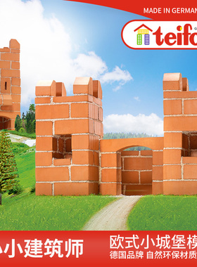 德国teifoc城堡2合1儿童DIY小屋拼装玩具手工模型迷你砌砖建房
