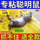德国老鼠贴超强力粘鼠板抓大老鼠扑捉灭鼠胶沾一锅端家用捕鼠