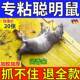 德国老鼠贴超强力粘鼠板抓大老鼠扑捉灭鼠胶沾一锅端家用捕鼠