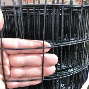 硬塑荷兰网铁丝网护栏网围栏网荷兰网养鸡网防护隔离网养殖圈地