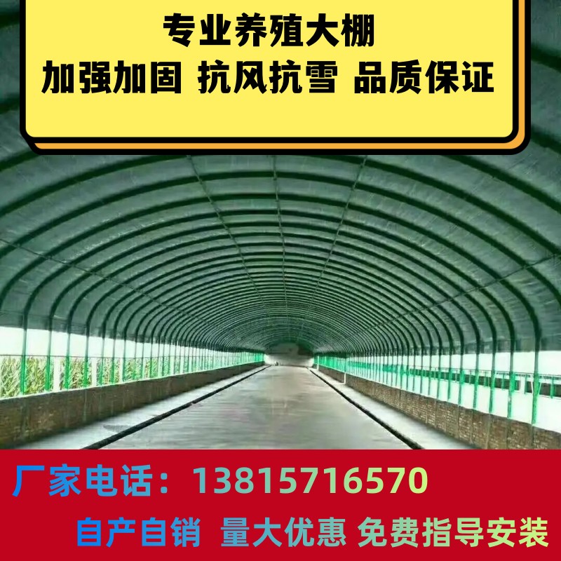 养殖大棚隔热保温鸡鹅猪牛养殖温室大棚椭圆管温室钢管骨架大棚