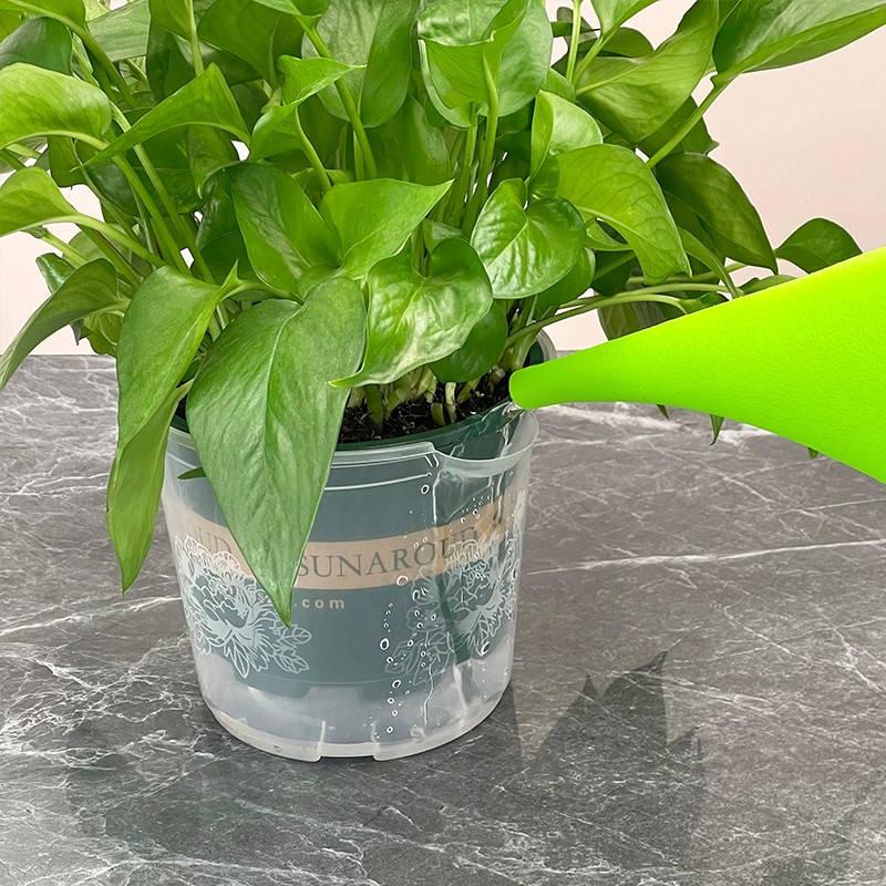 绿萝自动吸水花盆2021新款一加仑大号绿植简约防烂根懒人花盆