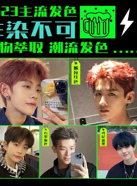 黑茶鸢尾蓝黑奶奶灰香槟灰雾霾灰色染发膏剂男生士免漂植物纯