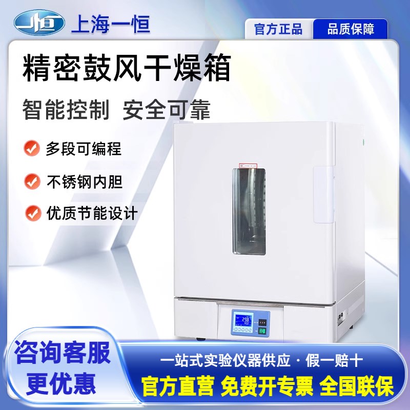 上海一恒精密鼓风干燥箱BPG-9056A鼓风恒温烘箱实验室可编程0.1℃
