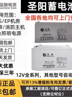 圣阳SP12-100阀控密封式铅酸免维护蓄电池SSP7 18 38 65 12V200AH