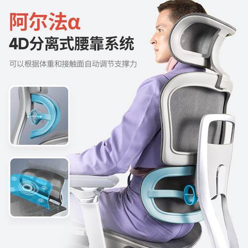 16代人体工学椅子 护腰电V办公椅靠背舒适脑家用电竞V1  6老板椅