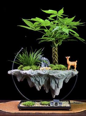 发树财盆栽悬术空假山室内文竹桌面办公室PII艺茶盆景观赏摆件礼