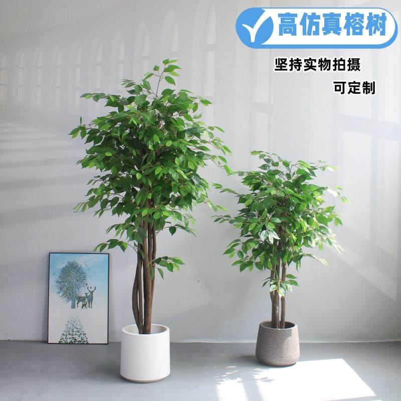 彷真绿色高植物榕树高端轻奢生植物盆栽端假树客厅落DWM地大型摆