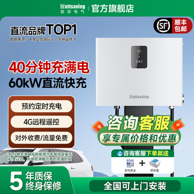 能效充电桩60kW直流新能源汽车充电枪380v适用特斯拉比亚迪蔚来