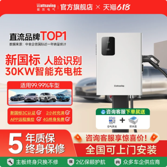 能效充电桩家用新国标3C新能源快充充电桩汽车30kw直流充电器电枪