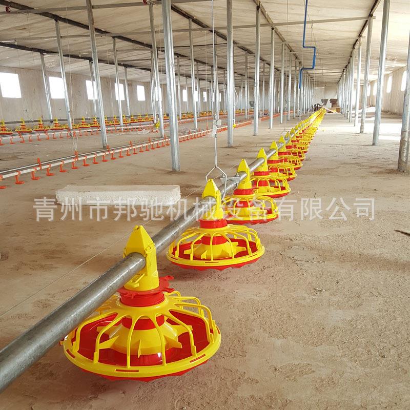 畜牧养殖养鸡自动料线 散养肉鸡料盘喂料机 水线自动上料机
