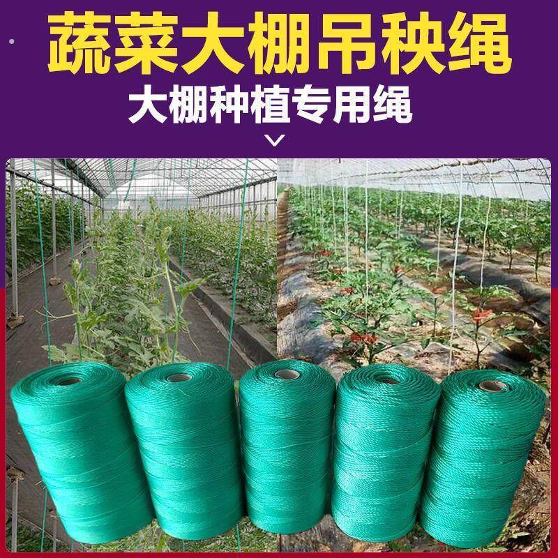 丝瓜爬藤绳吊秧绳吊蔓绳黄瓜西红柿辣椒吊绳蔬菜大棚尼龙绳耐磨聚