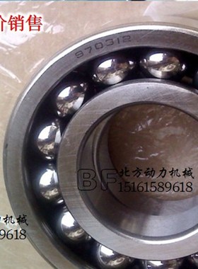 高温轴承 耐高温 大负荷轴承6319 970319 内径95 外径200 宽度45