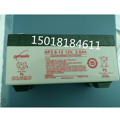 福禄克正品  FLUKE 1550C电池 蓄电池F1555 绝缘电阻测试仪电池