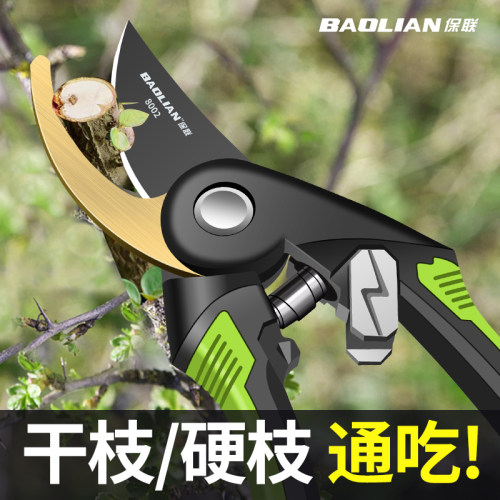 保联修枝剪园艺剪刀剪树枝专用剪刀园林修剪果树修枝花艺修花剪子