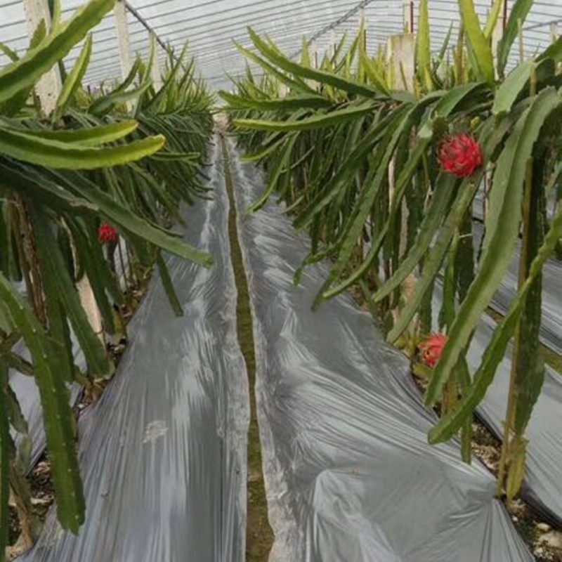 20斤加厚草莓农用黑色地膜除草果园除草膜果树蔬菜保温塑料薄膜,橡塑材料及制品,塑料薄膜/塑料布,淘宝优惠券,粉丝福利购,淘宝优惠卷