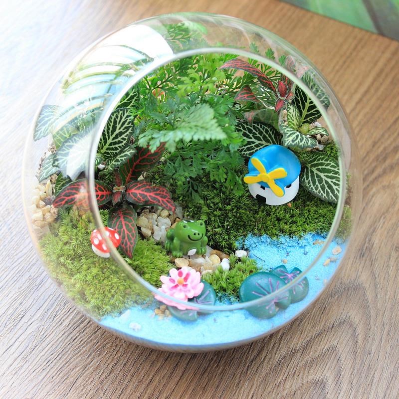 苔藓微景观生态瓶趣味植物创意办公室DIY材料包迷你玻璃盆栽礼物