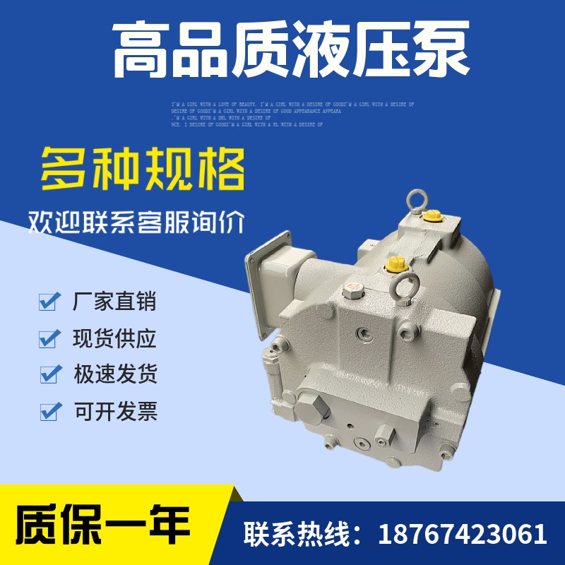 RP08A1-07-30-T油泵RP15A1-15-30转子泵RP15A1-22-30-T