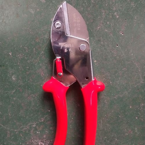 园艺剪刀修树枝剪刀工具剪刀蔡氏216修枝剪进口园艺剪刀