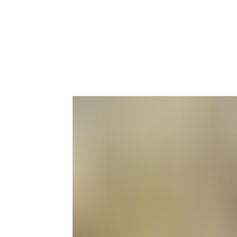 上海拖内发动机制造有限公司全部配件 TN495AG,TN4100AG TN4102