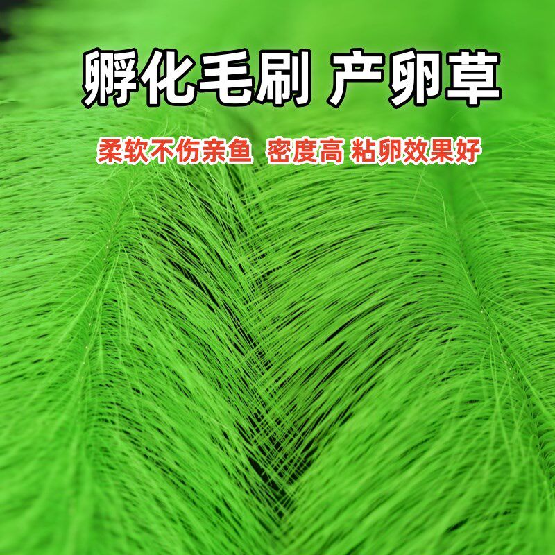 繁殖草锦鲤鱼产卵孵化草金鱼产卵草鱼卵孵化刷 黄绿孵化毛刷 包邮