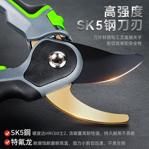 剪枝果树修枝剪刀园艺园林修花枝剪家用强力剪子神器花剪剪枝剪刀