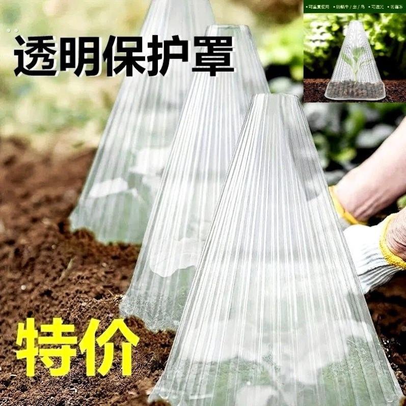 可重复方形使用植物钟罩植物免受鸟类霜冻蜗伤害绿色育苗保护罩