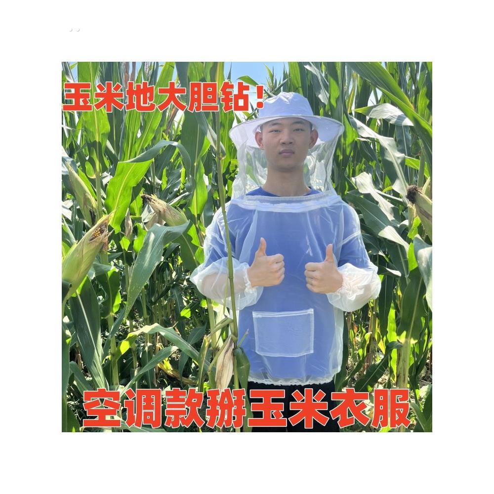 干农活玉米地干活帽子防护帽防虫防迷眼防刮脸掰玉米防刮脸衣服