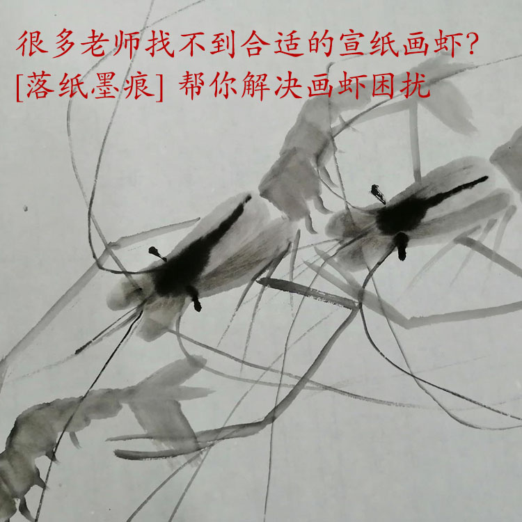 落墨痕虾画螃蟹鸟山水生宣写意国画墨色分明初学六尺