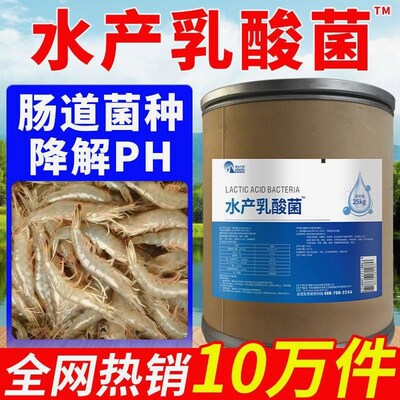 水产乳酸菌浓缩粉控制弧菌降值水产养殖降亚盐氨氮浓缩乳酸菌粉