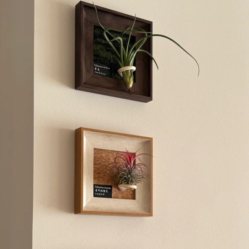 中古墙面壁饰挂画空气凤梨餐现代装饰画框复古桌面相框,家居饰品,壁饰,淘宝优惠券,粉丝福利购,淘宝优惠卷