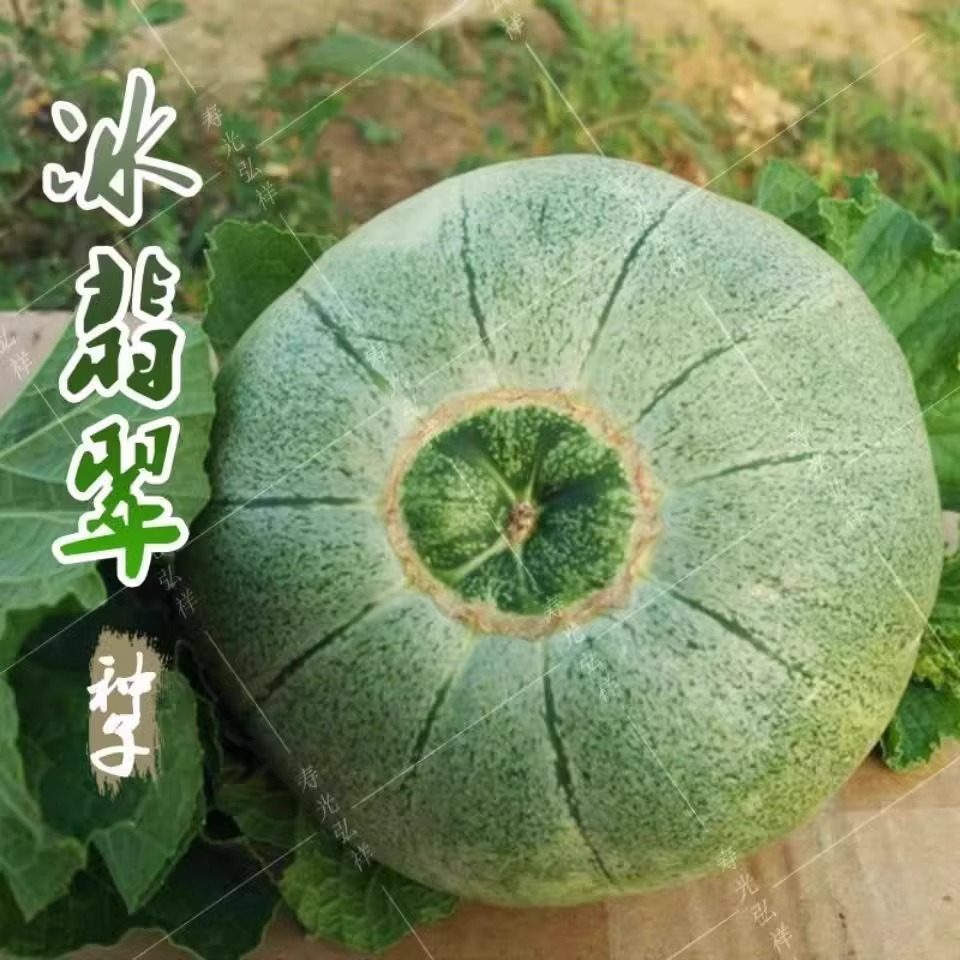 绿宝石甜瓜种子薄皮绿肉超甜夏季春季绿皮绿瓤日本甜宝香瓜种籽