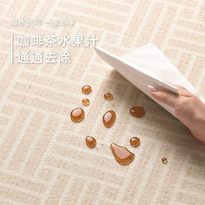 地毯客厅2025新款奶油风免洗可擦卧室防水茶几沙发轻奢高级感地垫