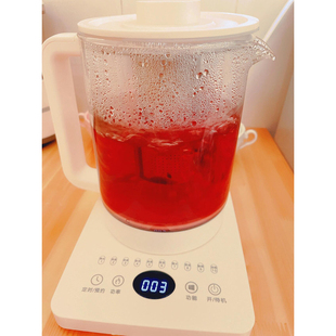 烧水壶电热水壶 煮茶器小型迷你型养生壶迷你型一人办公室女款