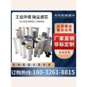 工业除六耳快拆粉尘滤筒喷砂抛除尘器静电喷丸涂阻燃防静电尘滤芯