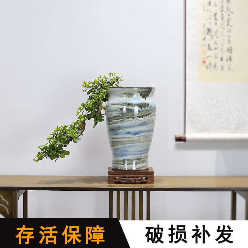 福建茶盆景悬崖式造型老桩植物室内客厅桌面办公室盆栽阳台绿植