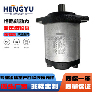 油泵BLUEASCEND齿轮泵AP20.160.CGL01SN AP30.730液压泵 AP10.009