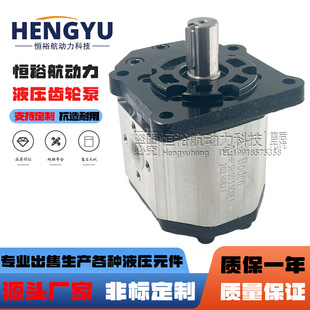 BHP3A1 BHP3A0 BHM3B1液压泵 BHP3B1 博顿油泵Boden齿轮泵BHP3B0