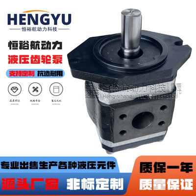 贺德克HYDAC内啮合齿轮泵PGI102-2-004-RK03 PGI101 PGI103液压泵