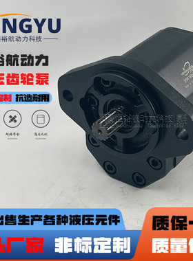 恒裕航液压泵3PDF38DA0S0E布雷维尼Brevini齿轮泵OT300P38D/P33S3