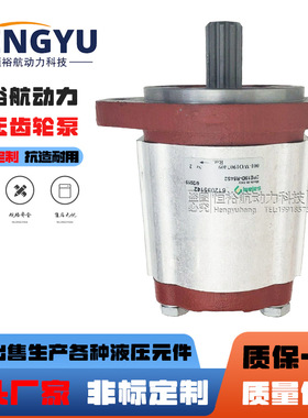 萨拉米油泵SALAMI齿轮泵2PE26D-G28P1-V-VS40 2PE6.5D-G28P液压泵