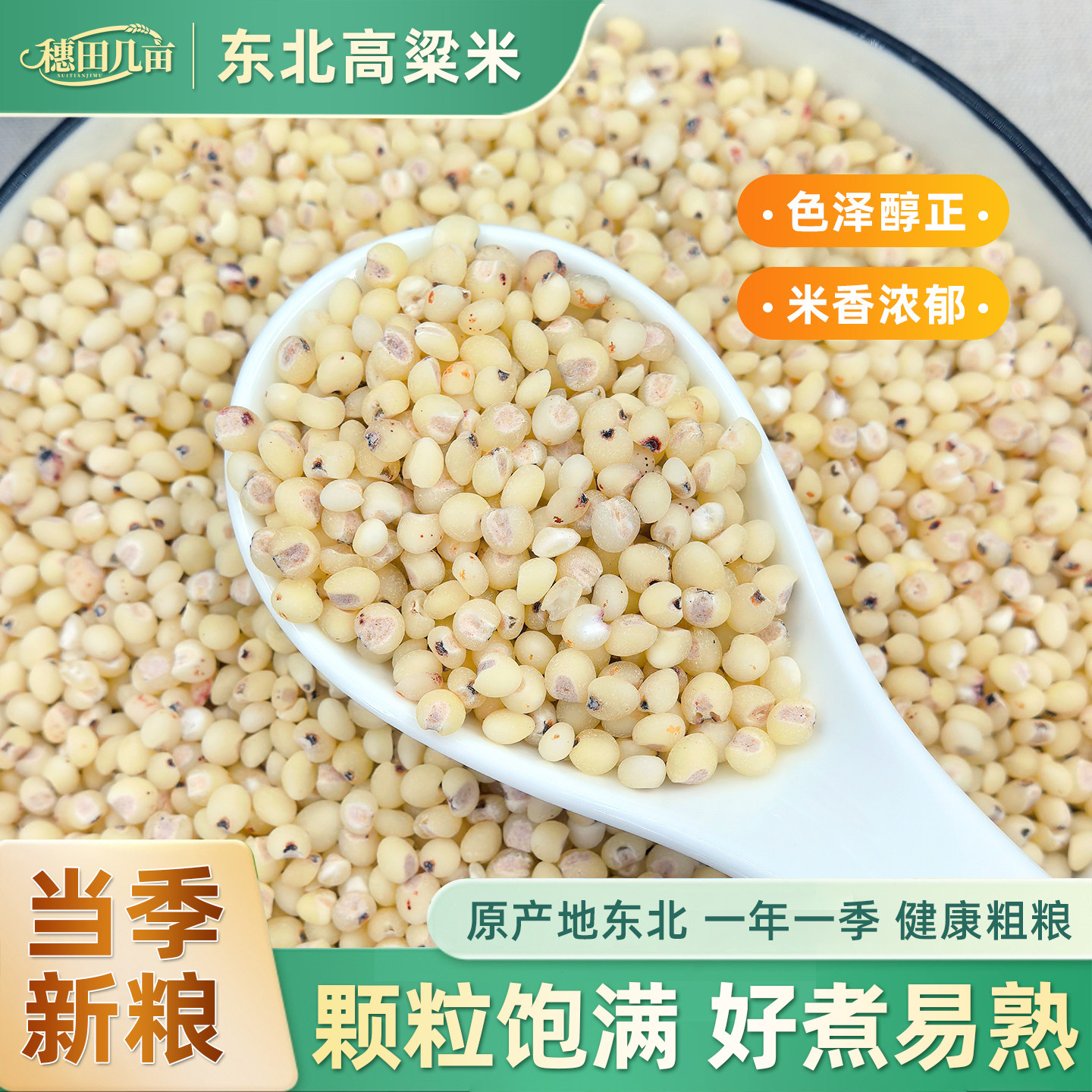 东北特产白高粱米2025年新米农家自产五谷杂粮健康粗粮黑山红高梁