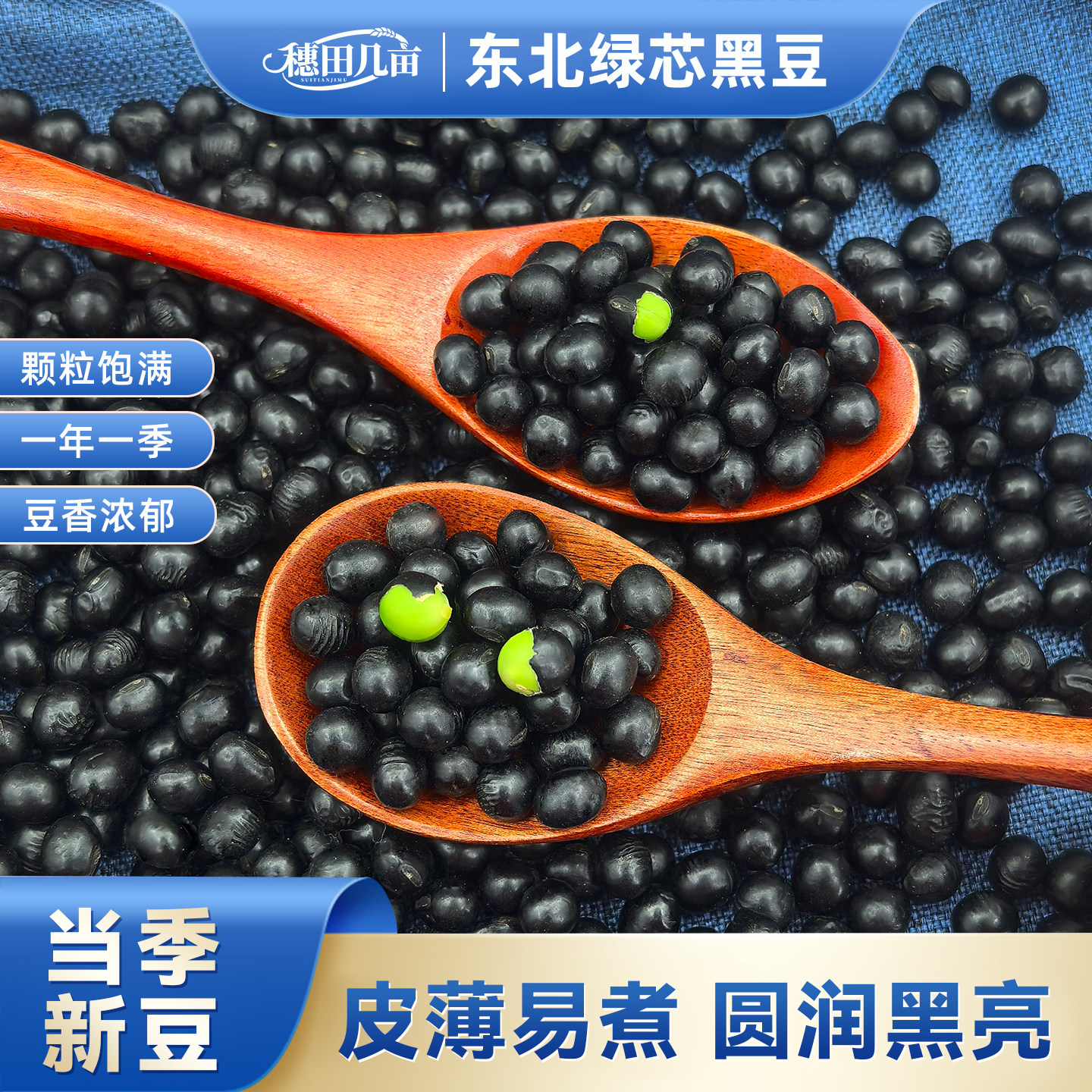 东北农家 新货绿芯黑豆打豆浆专用乌豆 青仁自种绿芯黑豆多规格可