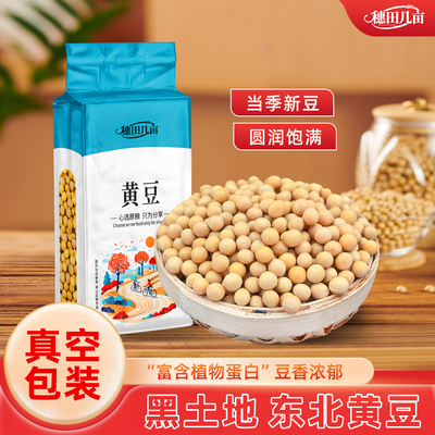 东北黄豆打豆浆专用大豆农家自种非转基因发豆芽豆粒新货1斤批发