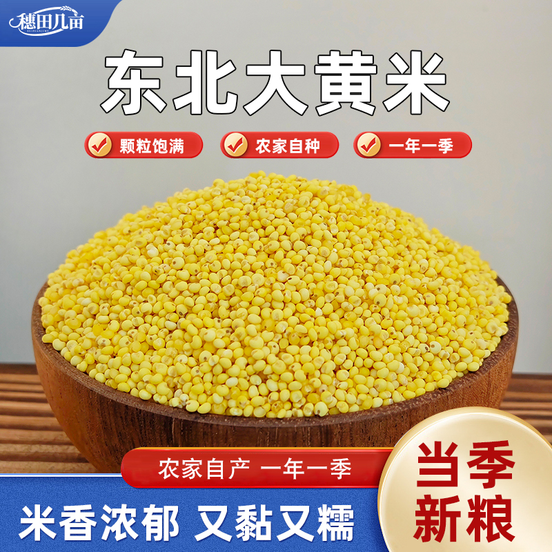 东北大黄米新米东北农家黏黄米粘大黄米软糯汤圆包粽子杂粮黄米饭