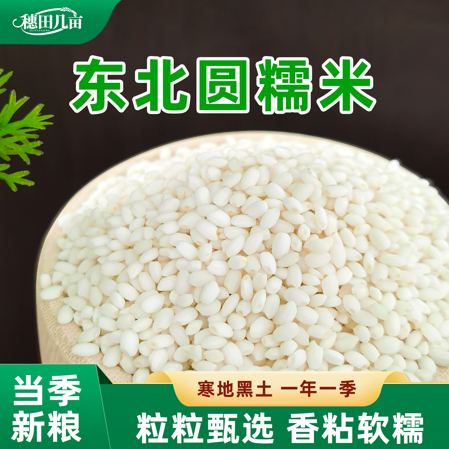 穗田几亩东北直发圆糯米新米包粽子专用白江米紫糯米酒血糯米饭