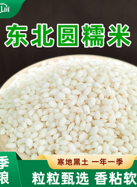 穗田几亩东北直发圆糯米新米包粽子专用白江米紫糯米酒血糯米饭
