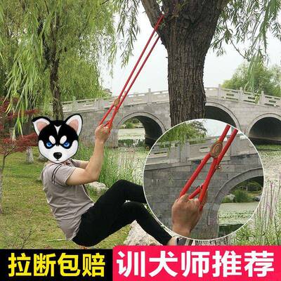 狗P绳防爆冲狗绳训犬P链小中大型犬加长狗链子狗狗牵引绳遛狗自动