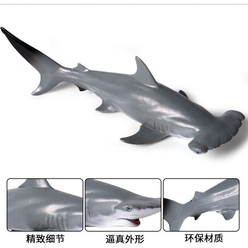 儿童认知仿真海洋生物动物玩具模型实心锤头鲨双鬓鲨静态模型玩具