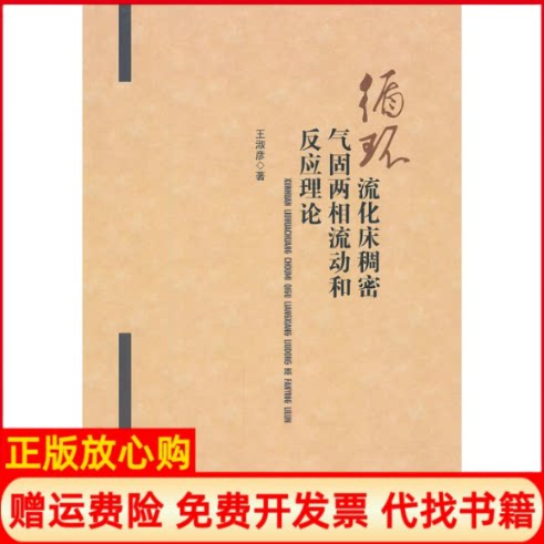 正版书】循环流化床稠密气固两相流动和反应理论王淑彦 黑龙江大学出版社有限责任公司9787811294927